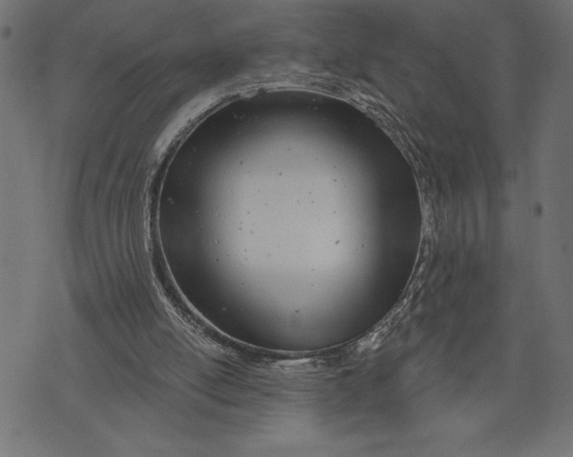 X0000073480054200608211635