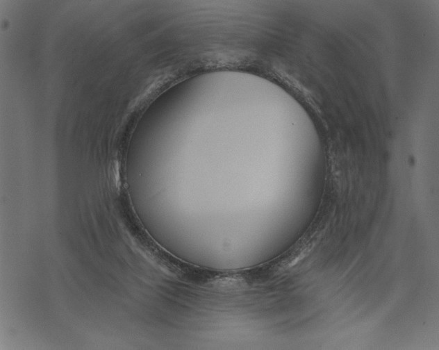 X0000073480067200608211635