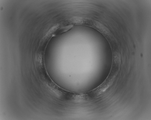 X0000073480072200608211635