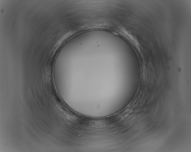 X0000073480107200608211635