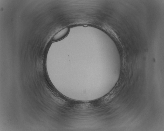 X0000073480108200608211635