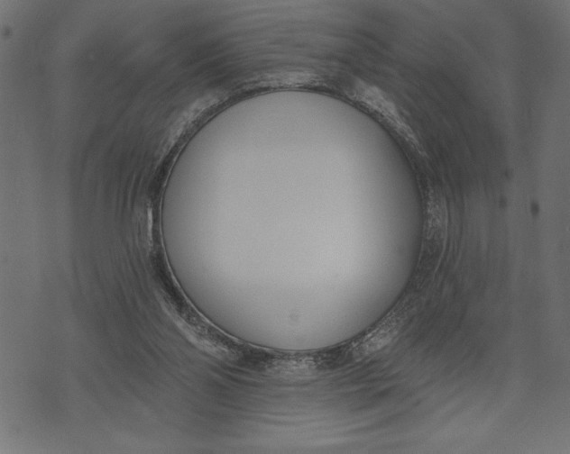 X0000073480110200608211635