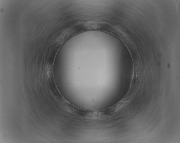 X0000073480125200608211634