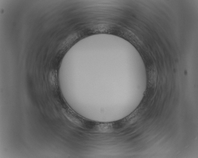X0000073480126200608211634