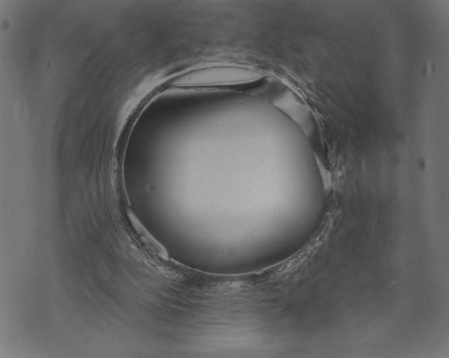 X0000073480152200608211633