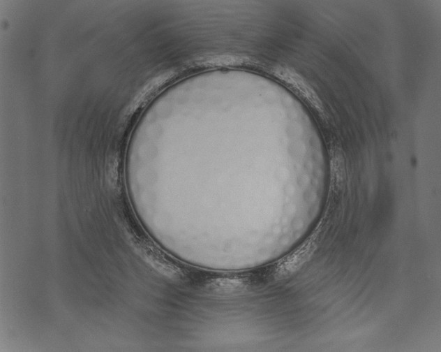 X0000073480159200608211633