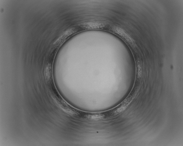 X0000073480165200608211634