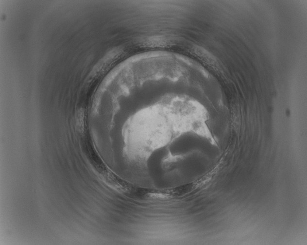 X0000073480167200608211634