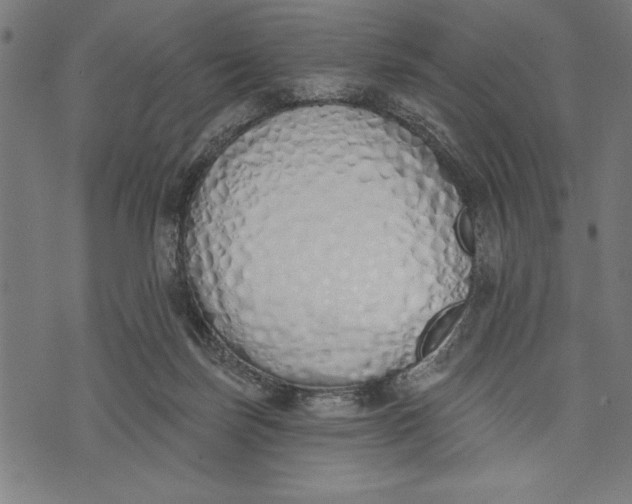 X0000073480171200608211634