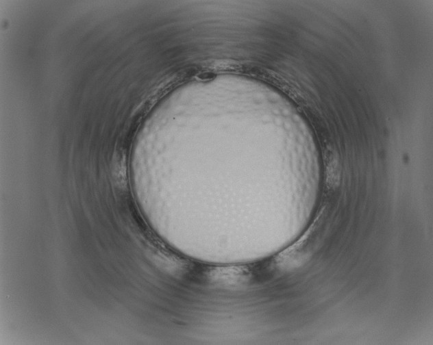 X0000073480179200608211634