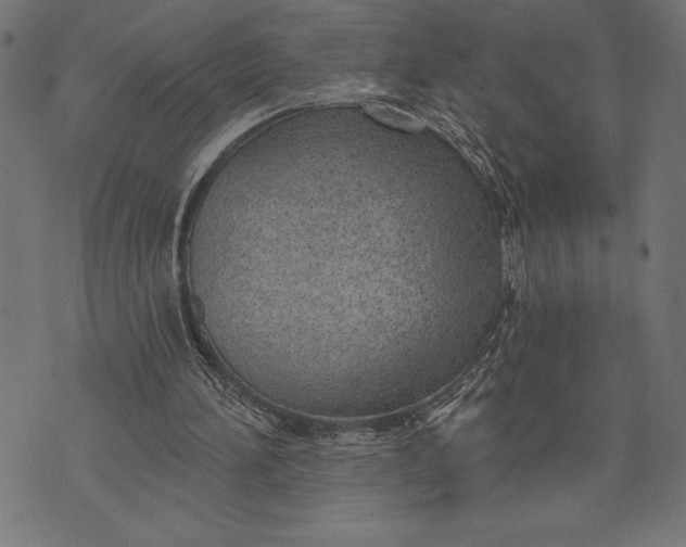 X0000073480196200608211633
