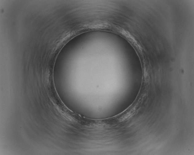 X0000073480201200608211633