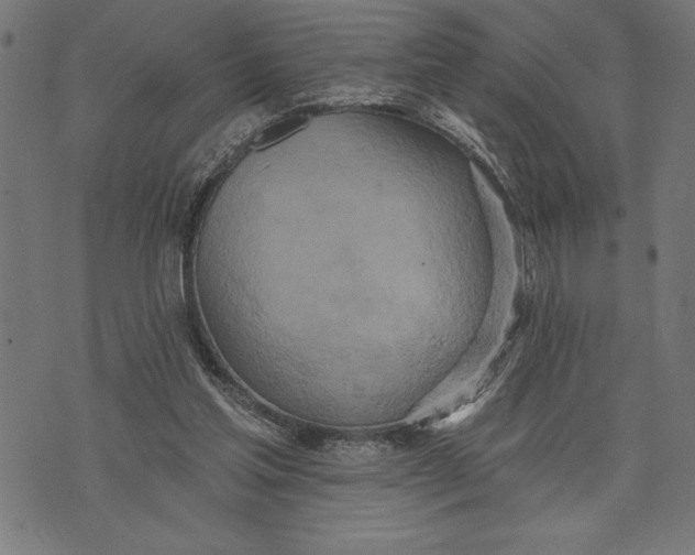 X0000073480205200608211633