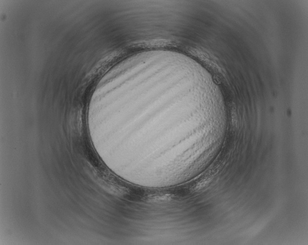 X0000073480206200608211633