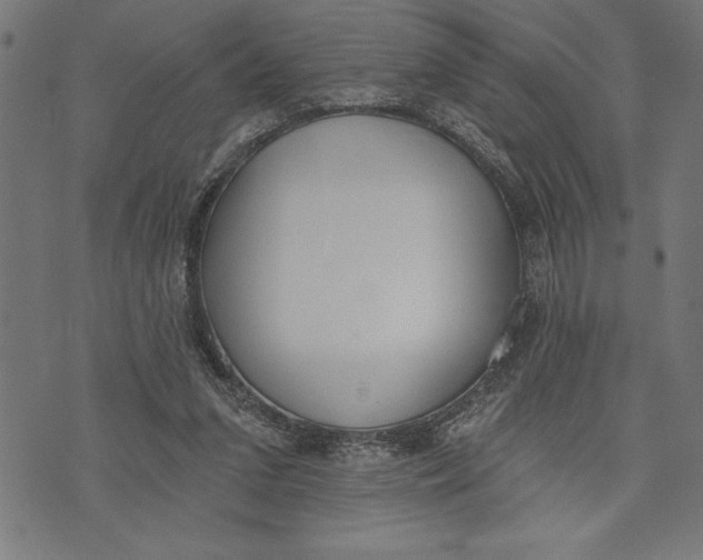 X0000073480207200608211633