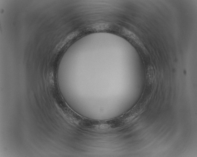 X0000073480212200608211633