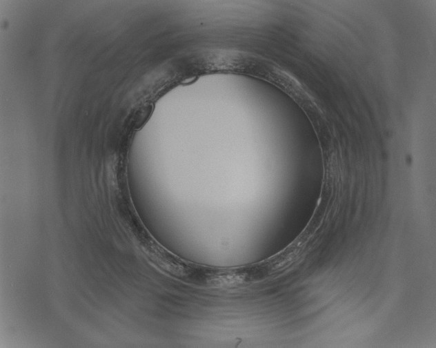 X0000073480217200608211633