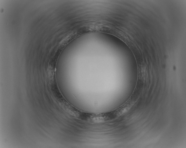 X0000073480228200608211633