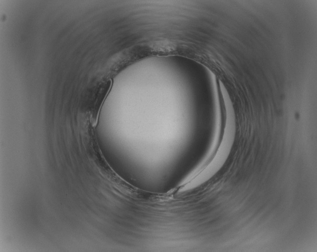 X0000073480229200608211633
