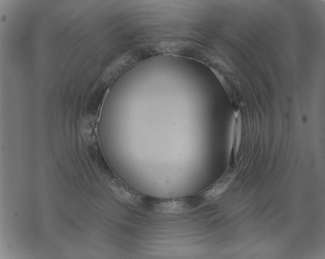 X0000073480237200608211632