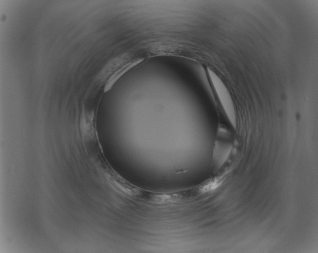 X0000073480239200608211632
