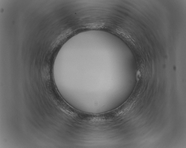 X0000073480303200608211631