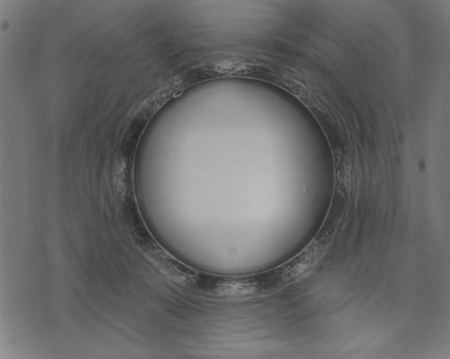 X0000073480319200608211631