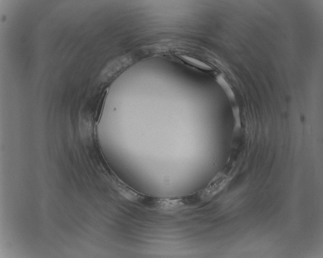 X0000073480333200608211631