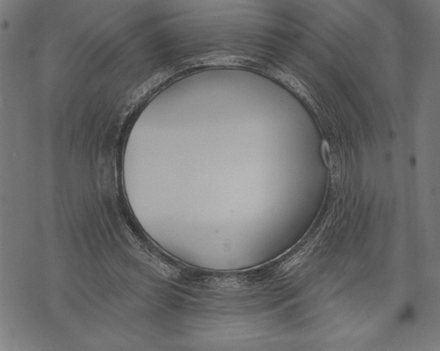 X0000073480349200608211630