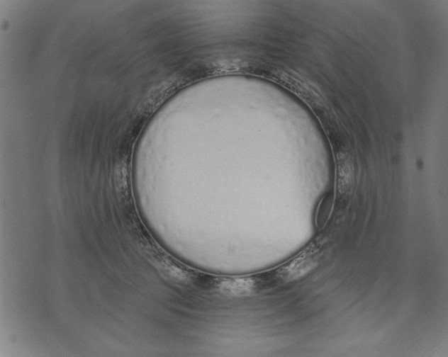 X0000073480369200608211631