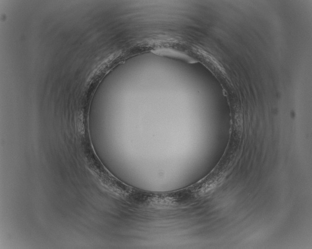 X0000073480403200608211630