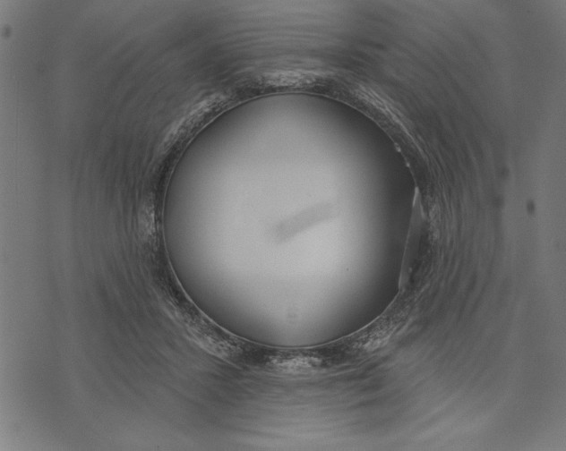 X0000073480407200608211630