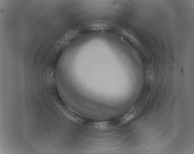 X0000073480411200608211630