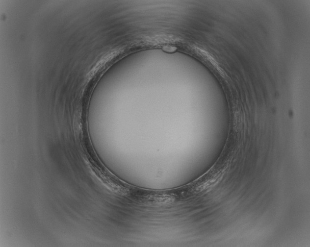 X0000073480443200608211629