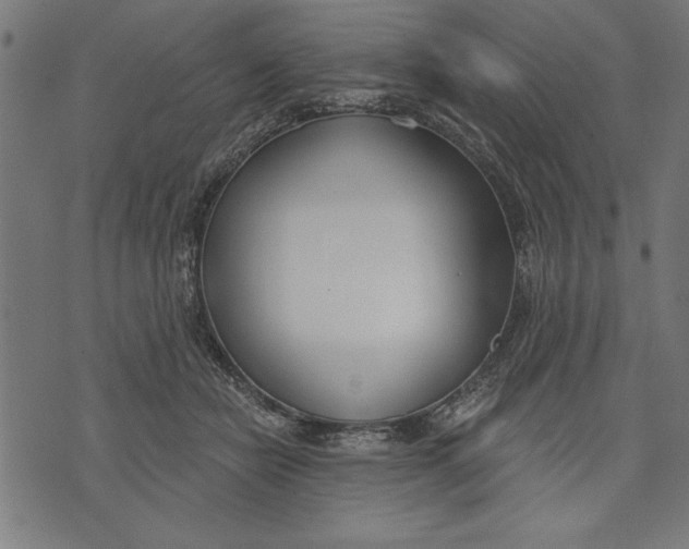 X0000073480462200608211629