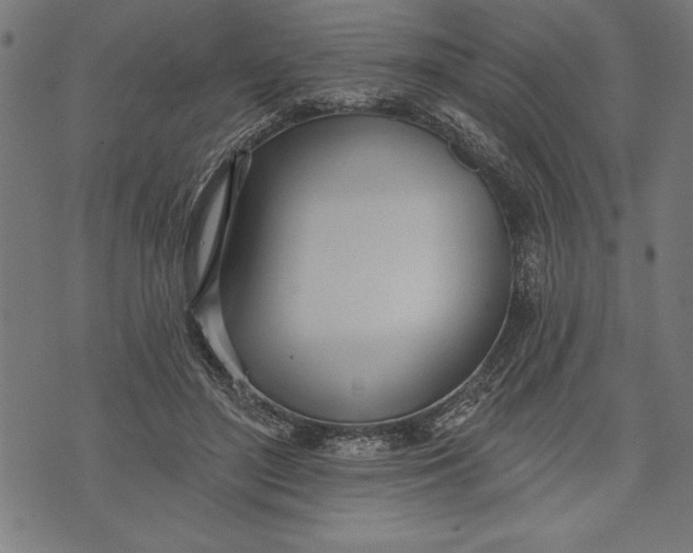 X0000073480500200608211628