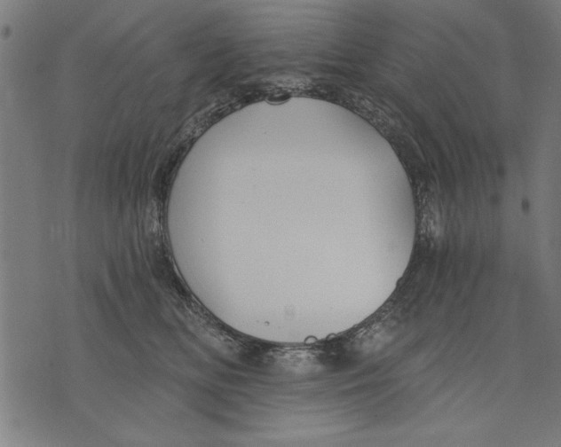 X0000073480518200608211628
