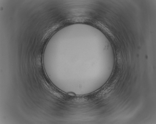 X0000073480537200608211627