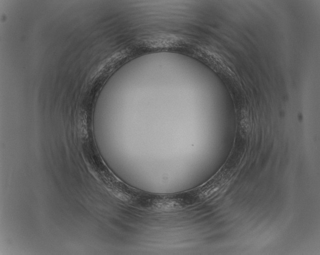 X0000073480547200608211627