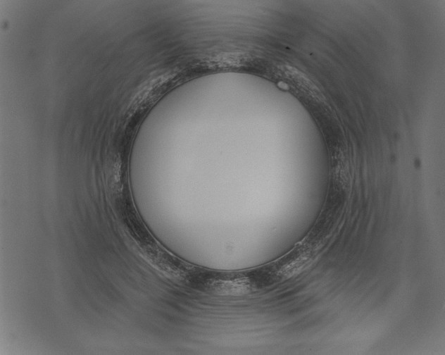 X0000073480548200608211627