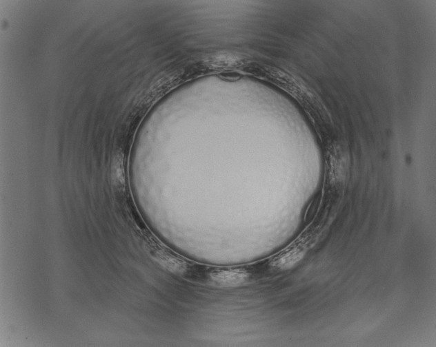 X0000073480561200608211627