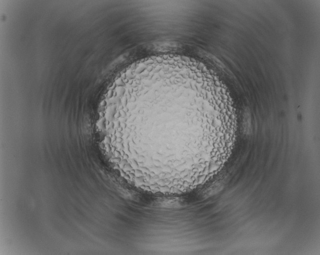 X0000073480569200608211628