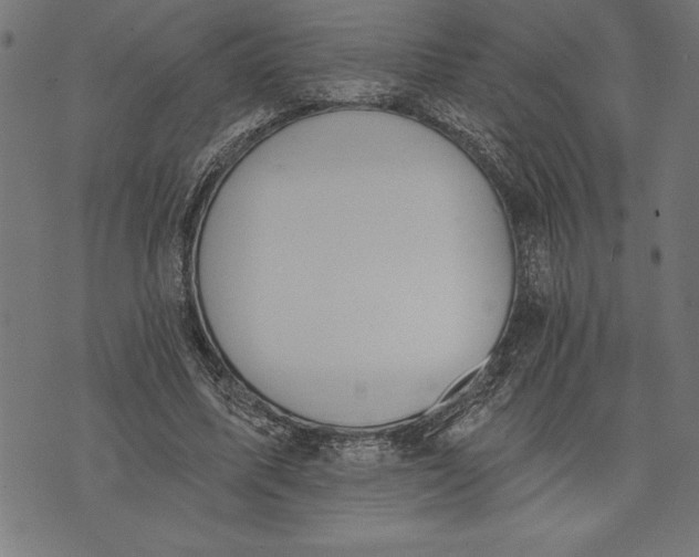 X0000073480587200608211627