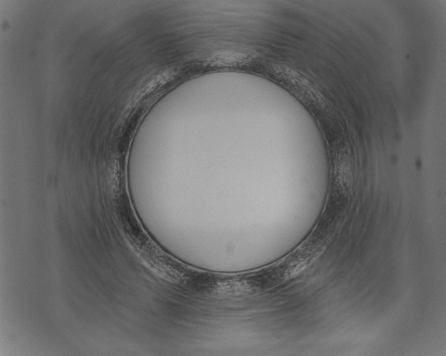 X0000073480591200608211627