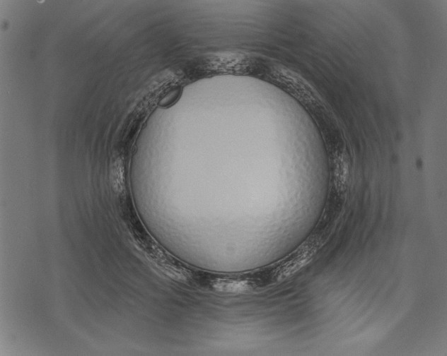 X0000073480602200608211627