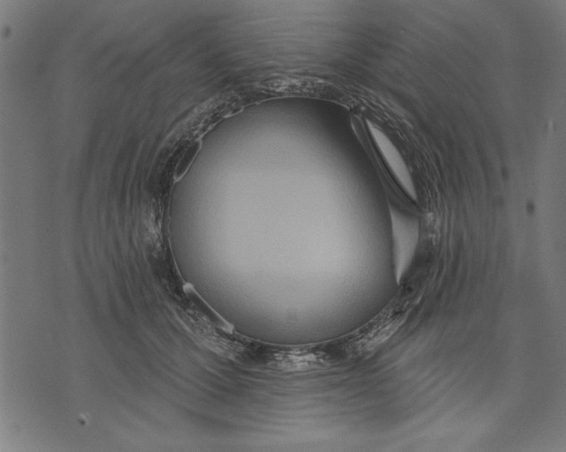 X0000073480607200608211626