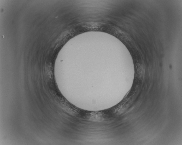 X0000073480612200608211626