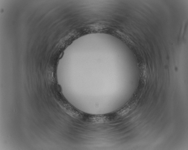 X0000073480615200608211626