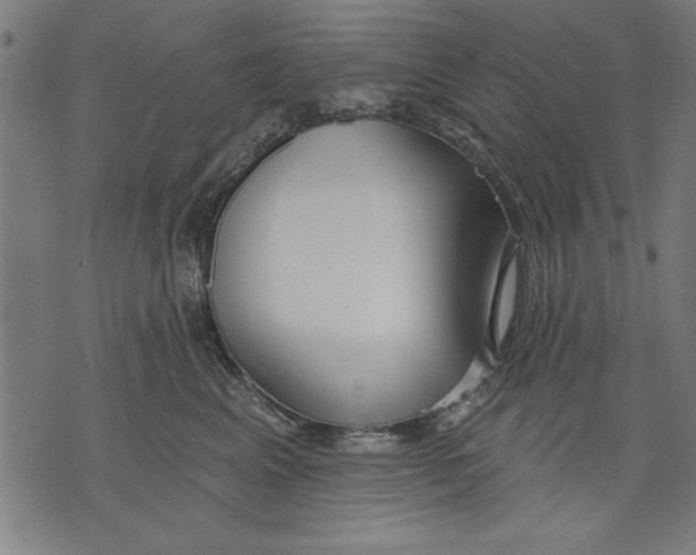 X0000073480617200608211626