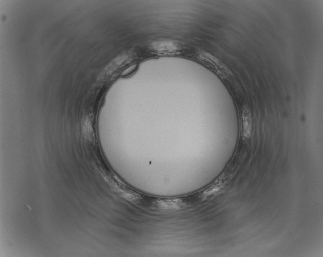 X0000073480618200608211626